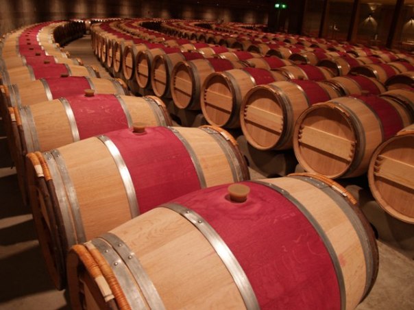 Opus wine barrels